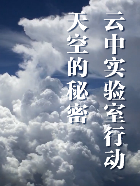 海报背景