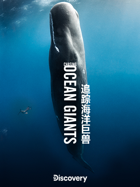 海报背景