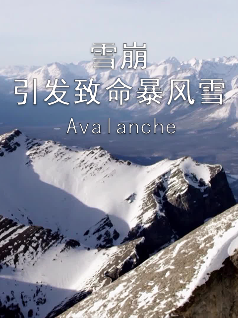 海报背景