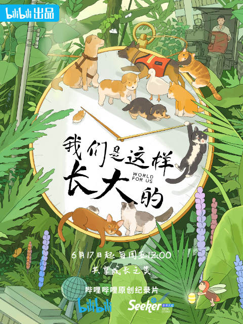海报背景