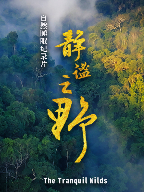 海报背景