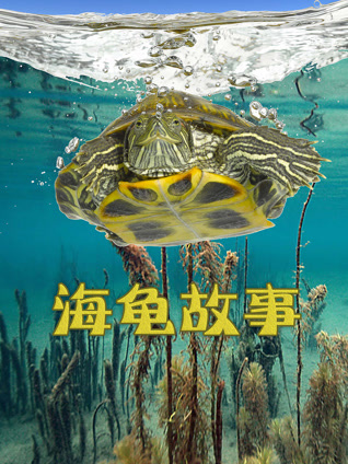 海报背景